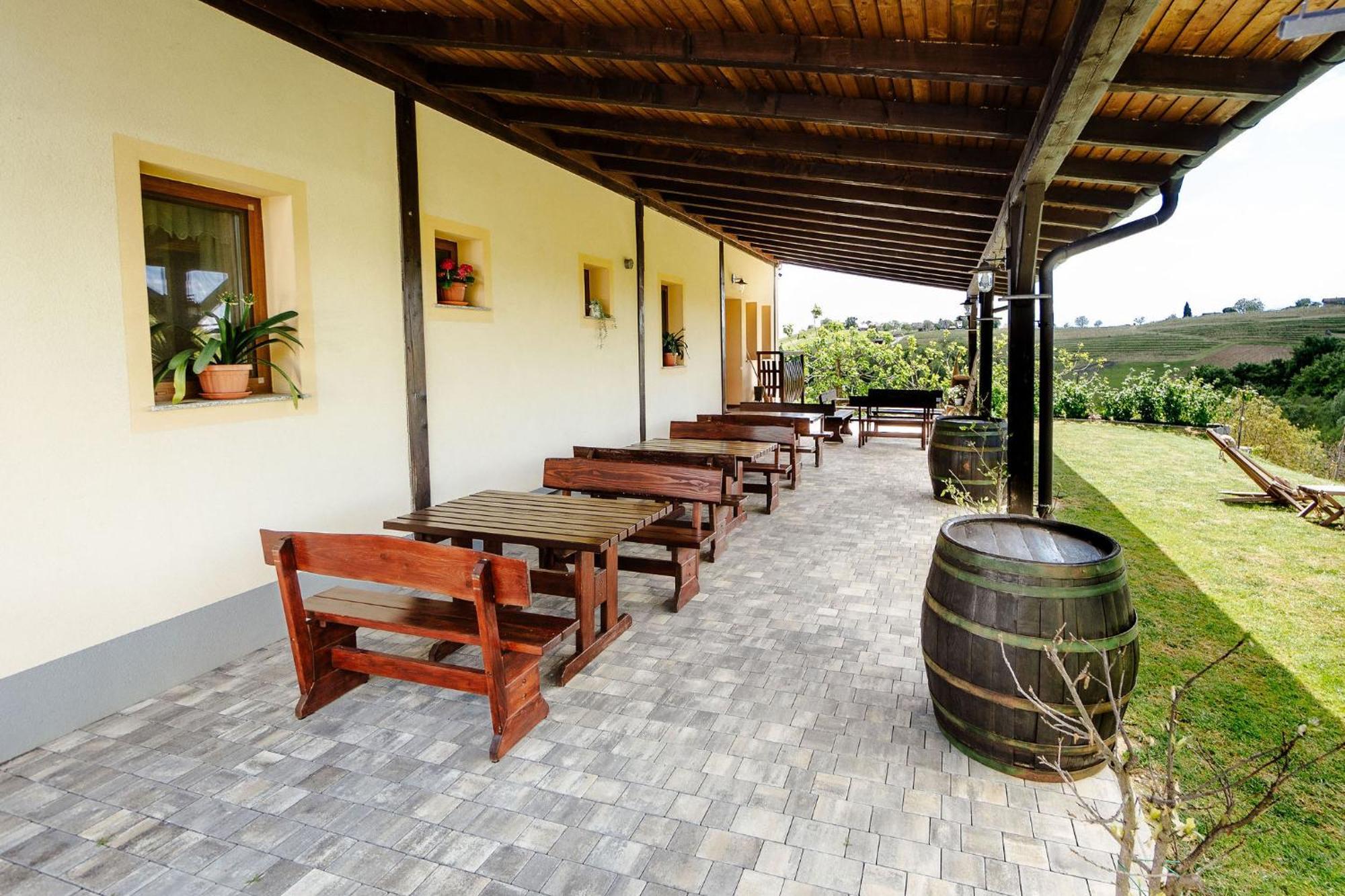Zelena Oaza - B&B Miklavz pri Ormozu Ngoại thất bức ảnh